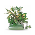 Small Garden Dish