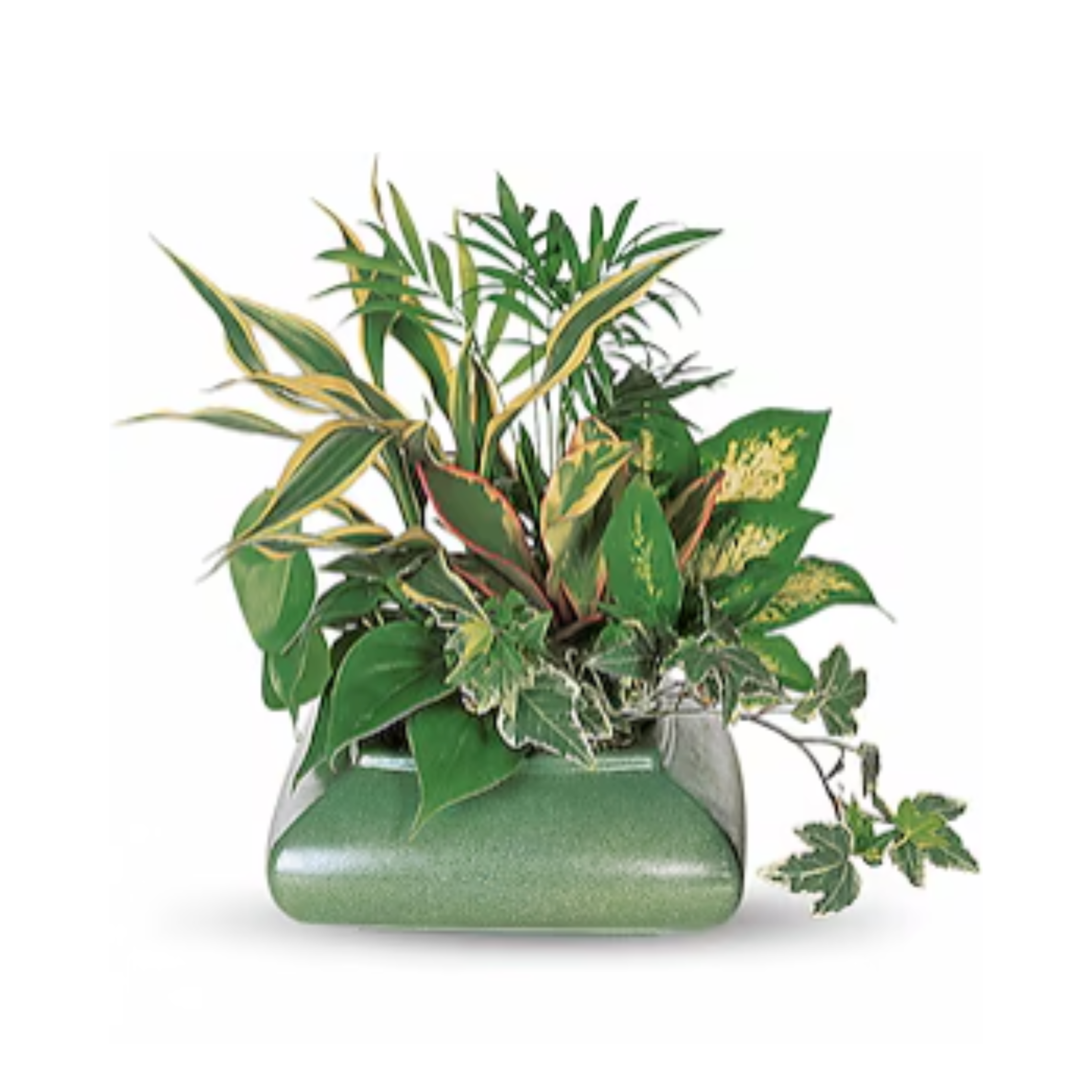 Small Garden Dish