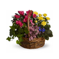 Blooming Garden Basket