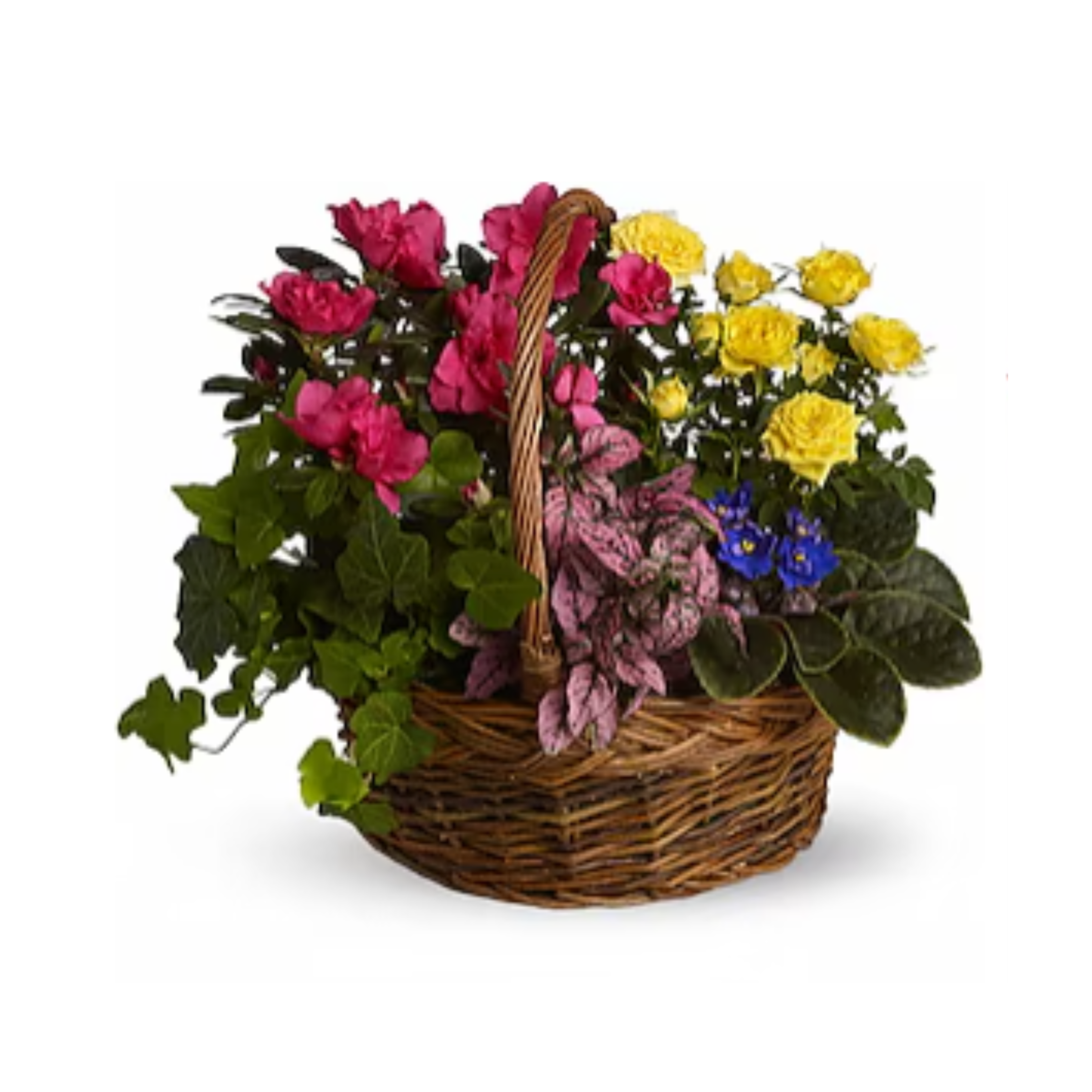 Blooming Garden Basket