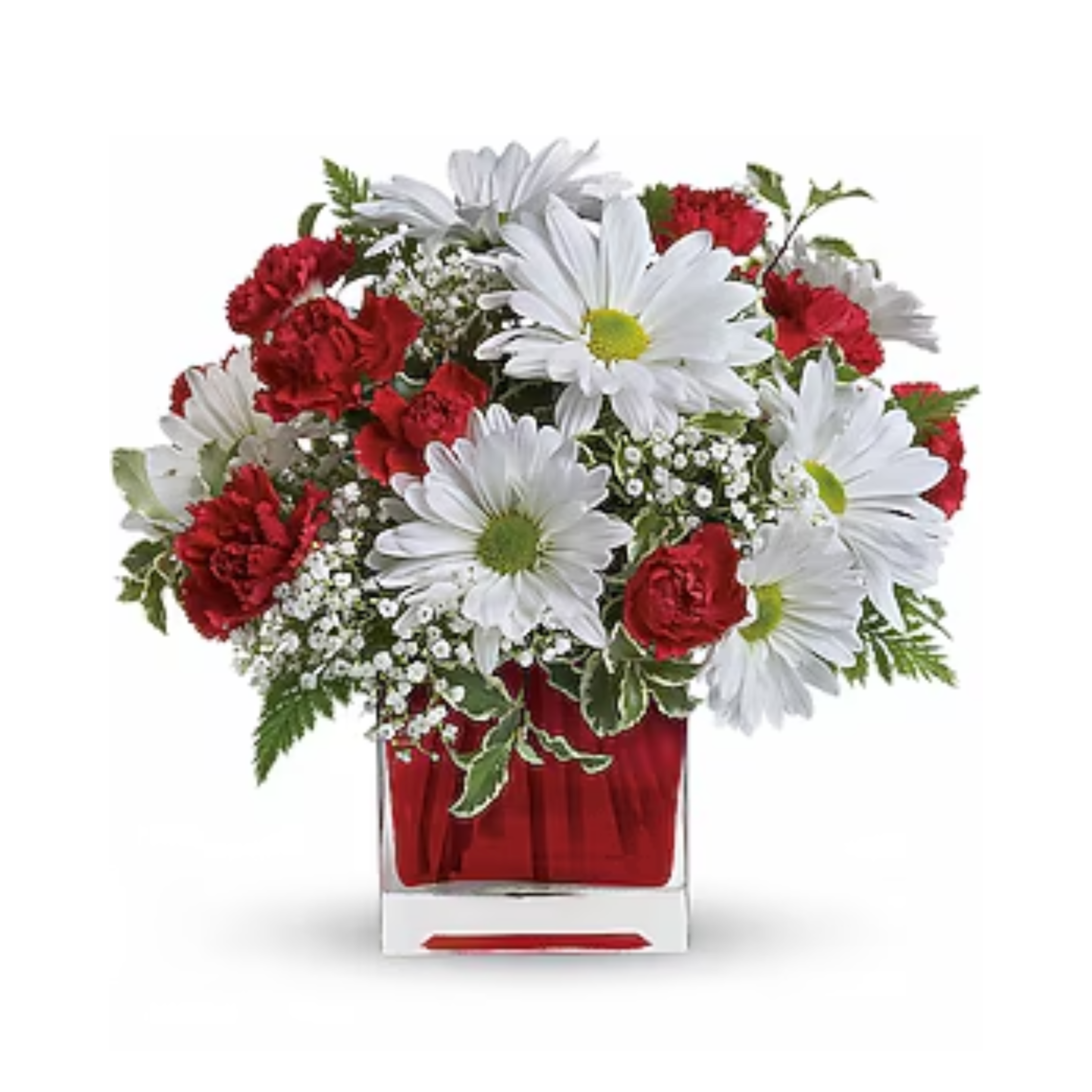 Red and White Delight by Teleflora