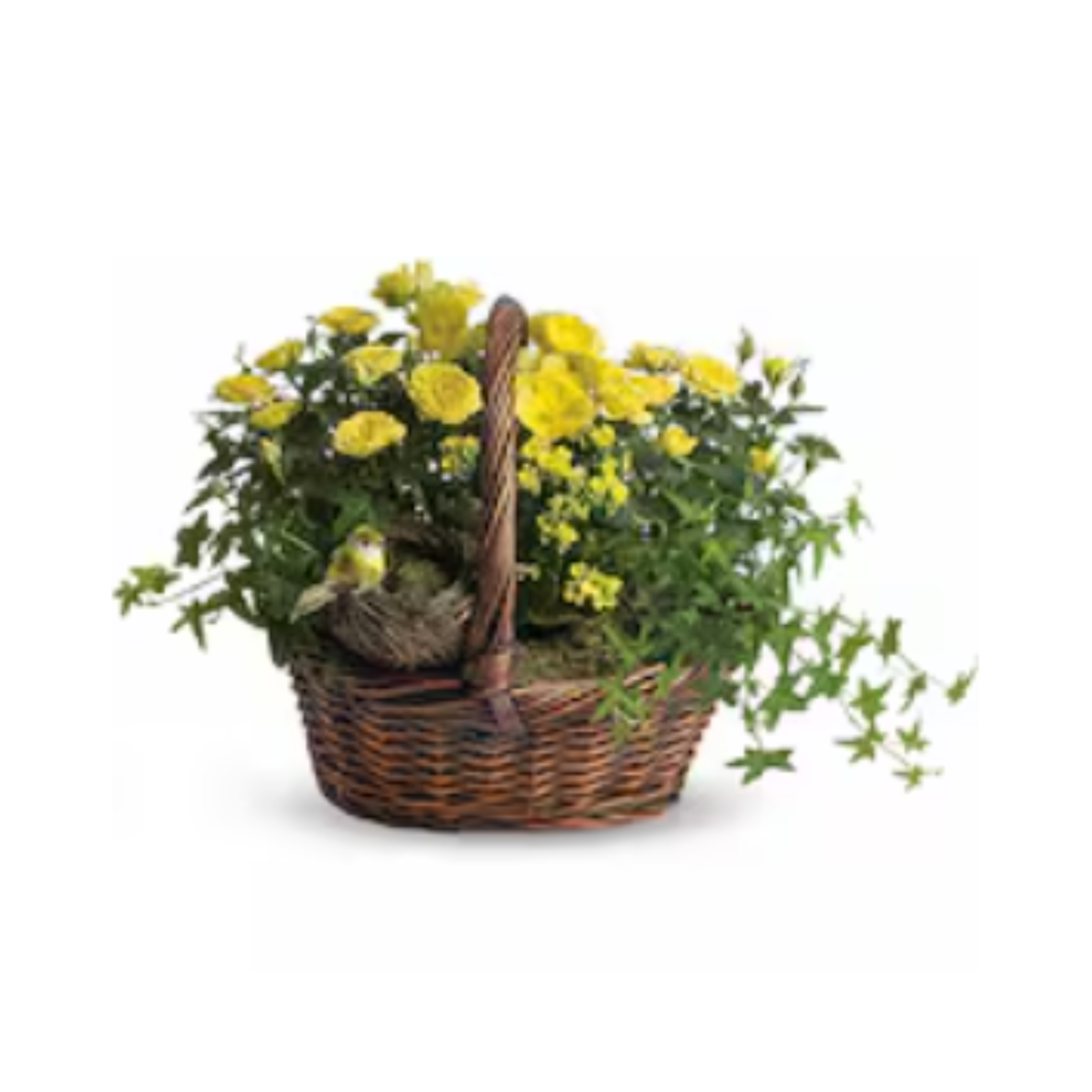 Yellow Trio Basket