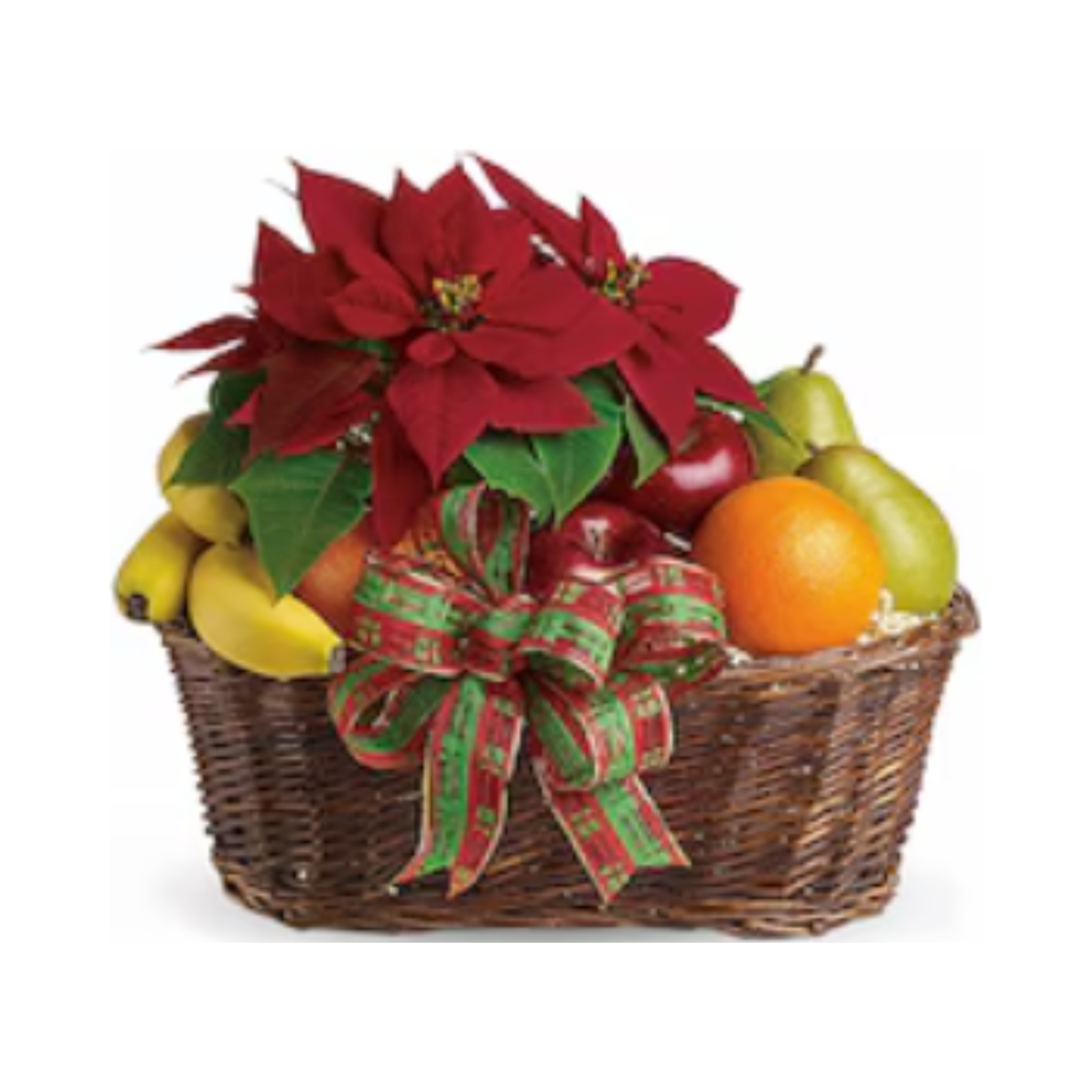 Fruit and Poinsettia Basket