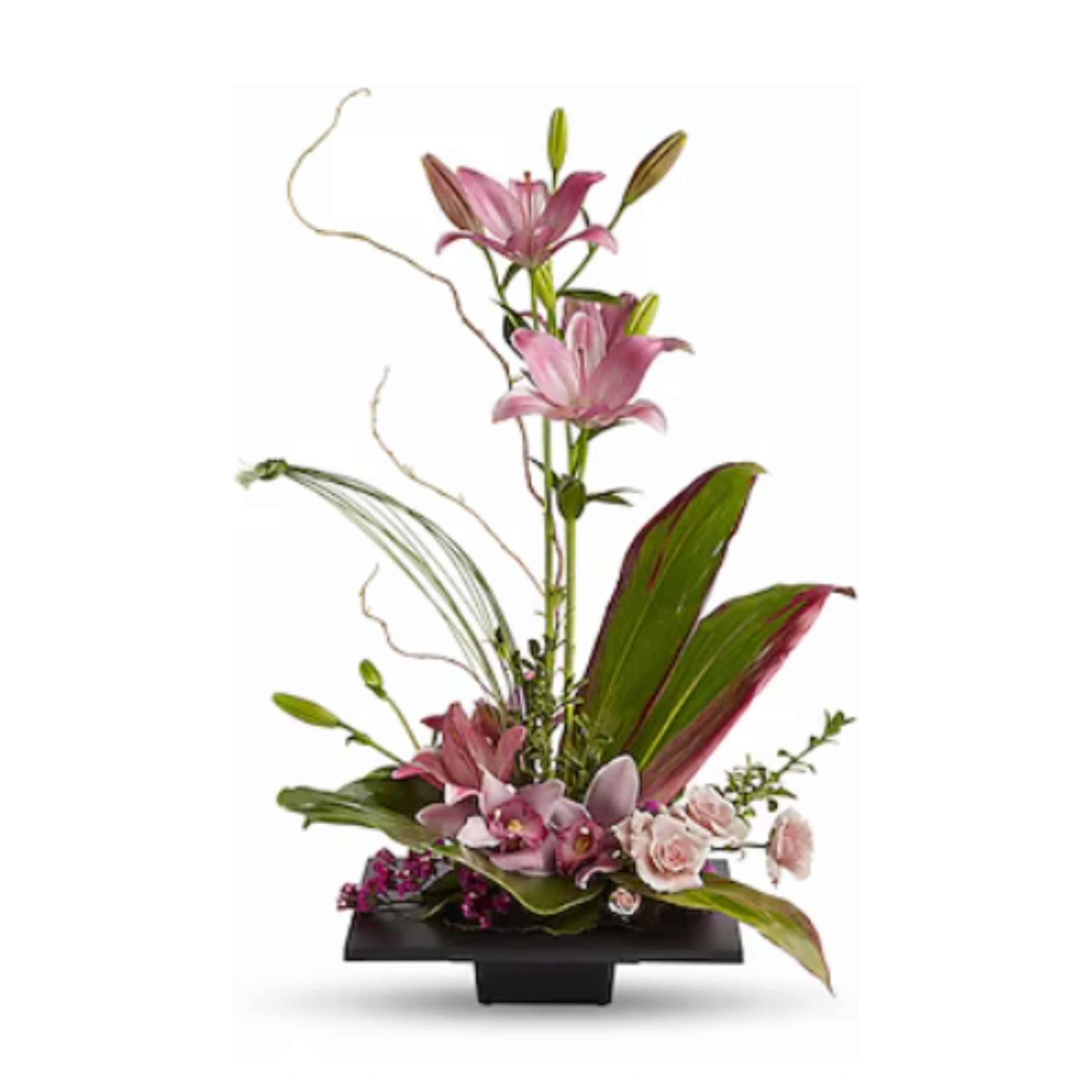 Imagination Blooms with Cymbidium Orchids