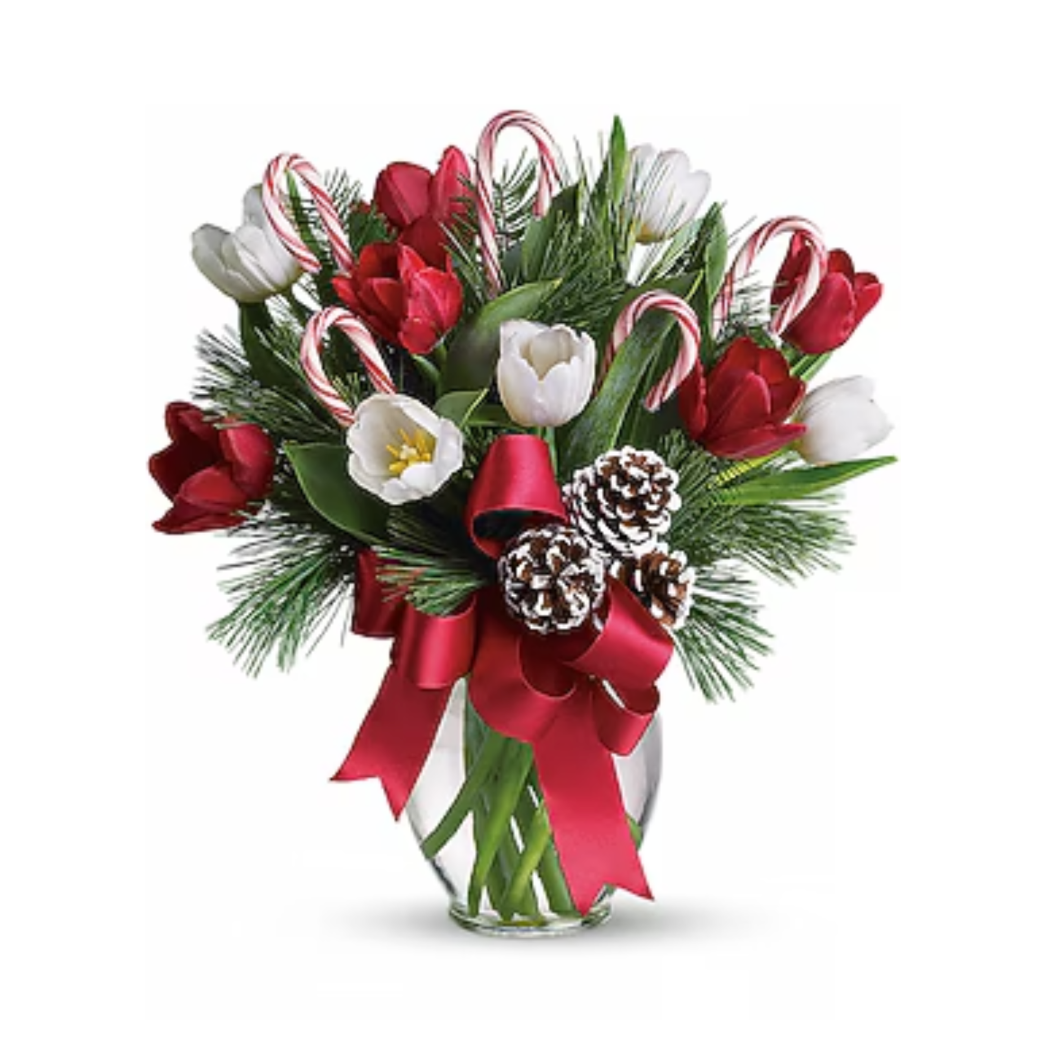 By Golly, It's Jolly