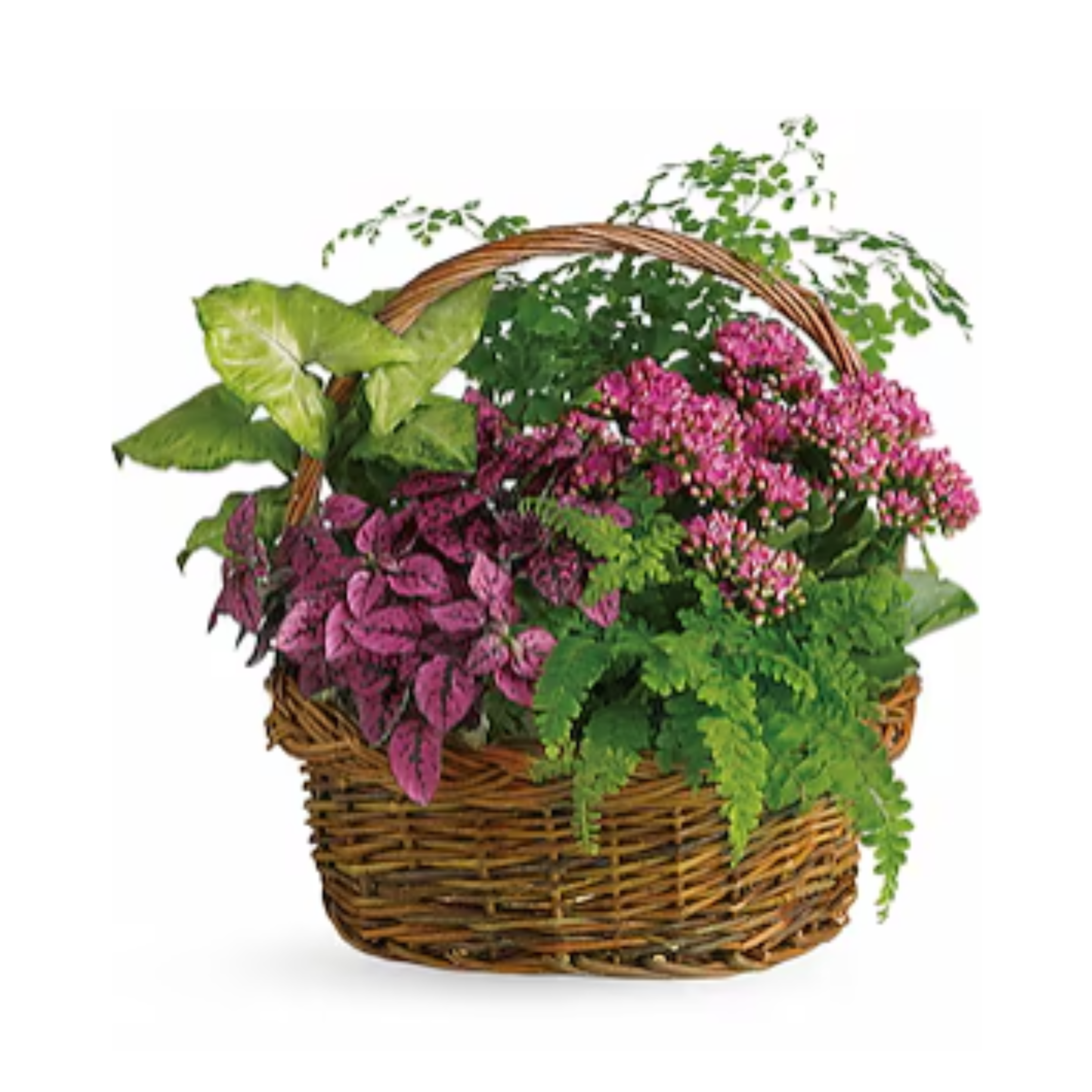Secret Garden Basket