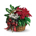 Holiday Homecoming Basket