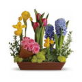 Spring Favorites